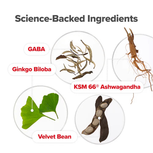 Vaginal Moisture & Mood Capsules